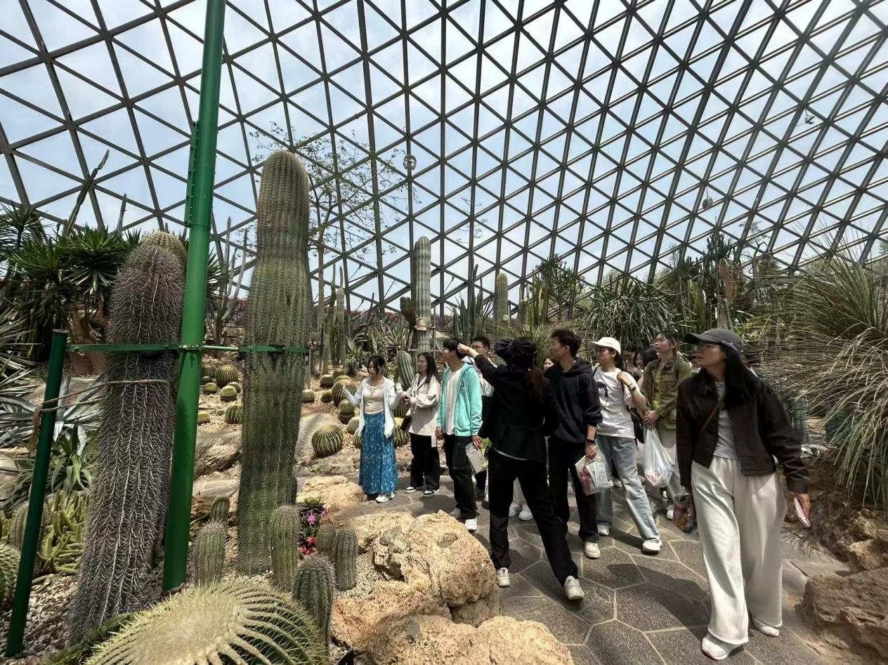 师生漫步春日园林，在自然中疗愈身心