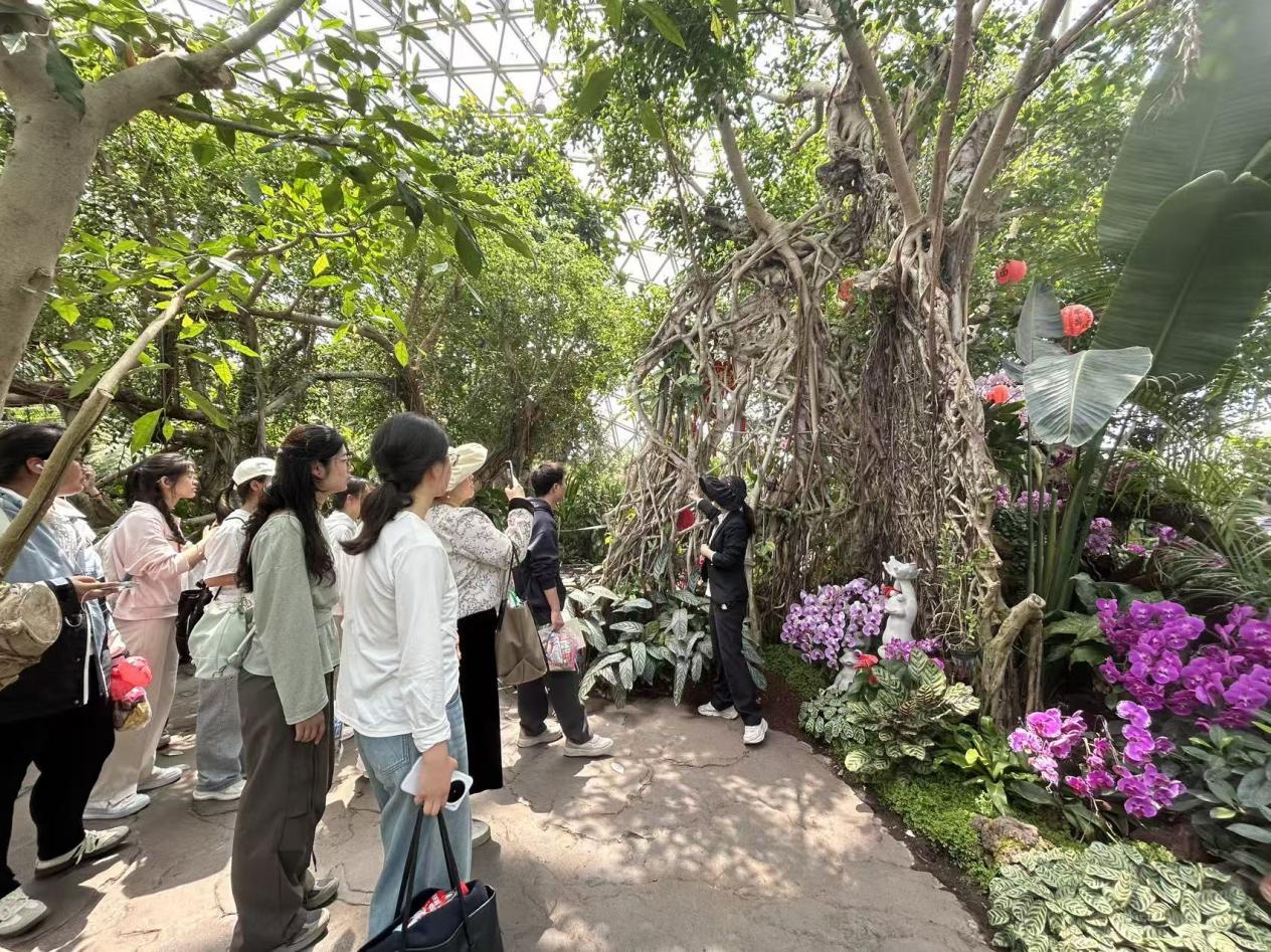 师生漫步春日园林，在自然中疗愈身心