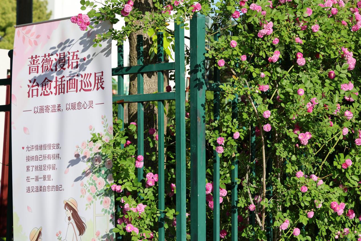 图1：活动现场